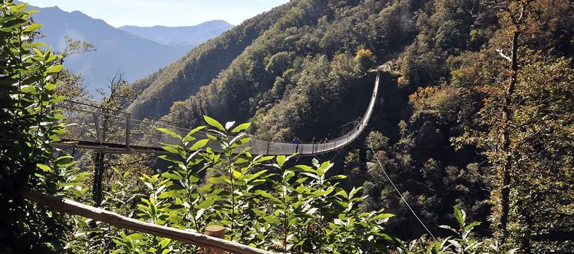 Tibetische Bruecke Carasc