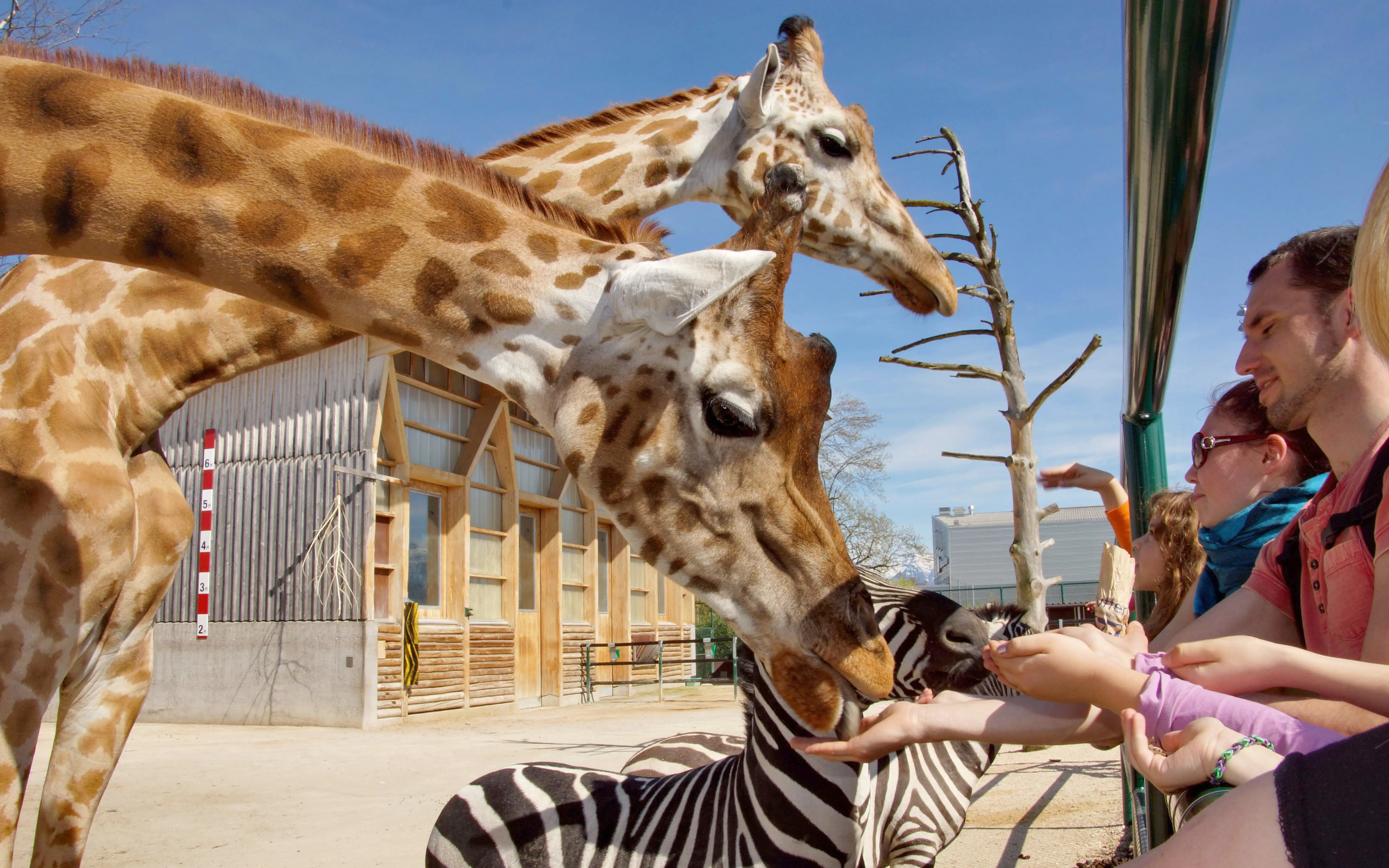Knies Kinderzoo